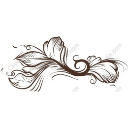 Elegant Floral Swirl