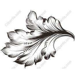 Elegant Leaf