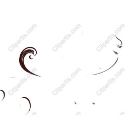 Elegant Ornate Flourishes Set