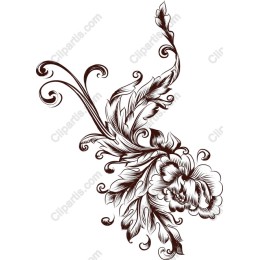 Elegant Floral