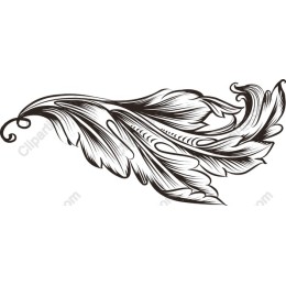 Elegant Feather
