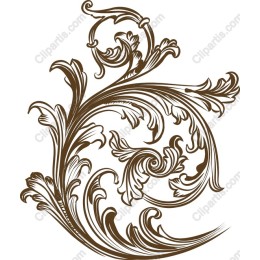 Elegant Ornate Floral