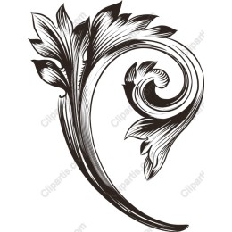 Intricate Floral Flourish