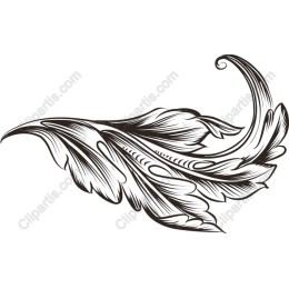 Floral Feather