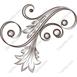 Elegant Decorative Swirl