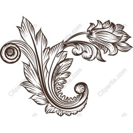 Elegant Floral