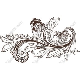 Decorative Flourish