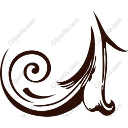 Elegant Swirl