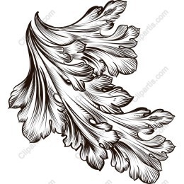 Exquisite Ornamental Foliage