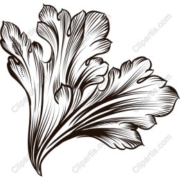 Floral Leaf