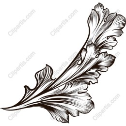 Delicate Botanical Leaf