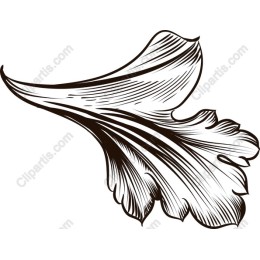 Elegant Leaf