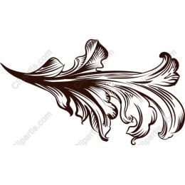 Elegant Floral Swirl