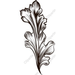 Hand-Drawn Ornamental Leaf