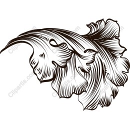 Elegant Leaf