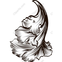 Elegant Swirling Leaf