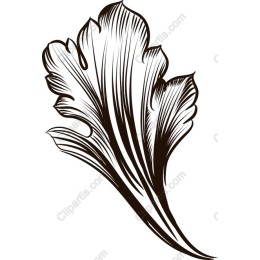 Elegant Leaf