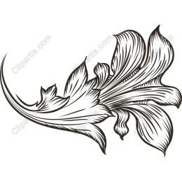 Elegant Floral