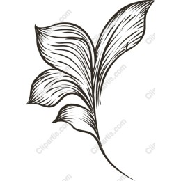 Elegant Stylized Leaf
