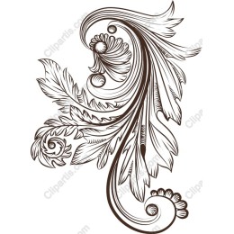 Elegant Floral