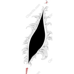 Elegant Black Feather