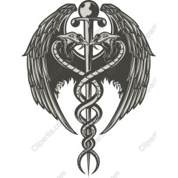 Serpent Staff with Wings