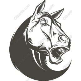 Dramatic Horse Head
