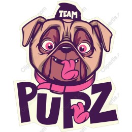 Adorable Team PUPZ Pug