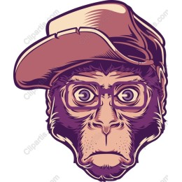 Trendy Monkey with Cap and Glasses