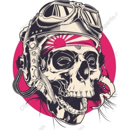 Aviator Skull