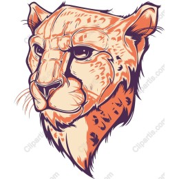 Majestic Cheetah Head