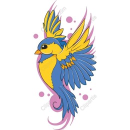 Vibrant Blue and Yellow Bird
