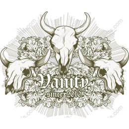 Vanity Skull Art