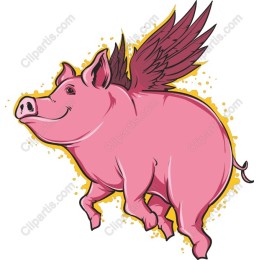 Winged Pig Fantasy