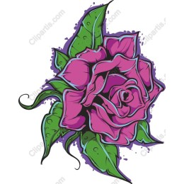 Vivid Purple Rose