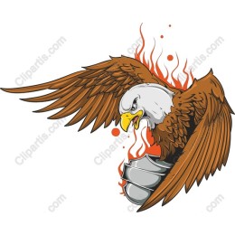 Fierce Eagle in Flames