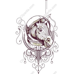 Cosmic Stallion