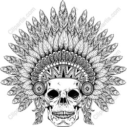 Skull and Feathered Headdress