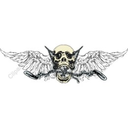 Fierce Skull and Wings