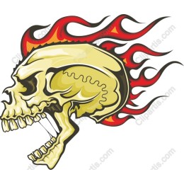 Fiery Skull
