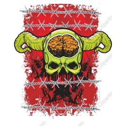 Vibrant Skull and Brain