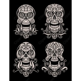 Intricate Skull Set