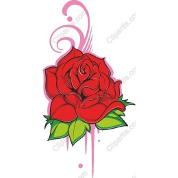 Red Rose