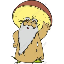 Mushroom Sage