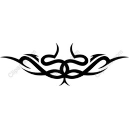 Tribal Elegance: Fluid Ornamental