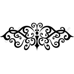 Elegant Butterfly