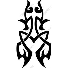 Tribal Fusion work