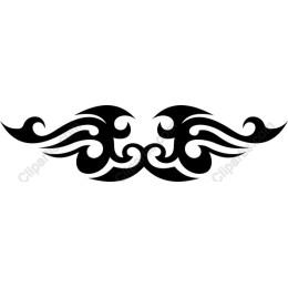 Elegant Swirl