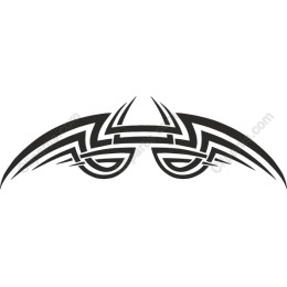 Tribal Symmetry