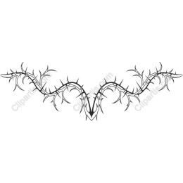 Thorny Vine